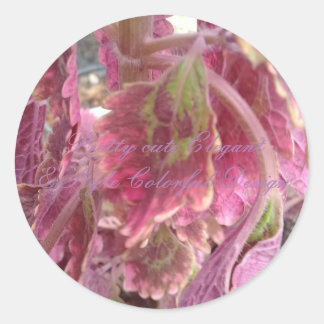 Pretty Cute Elegant & Style Colourful Round Sticke Classic Round Sticker