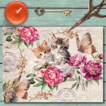 Pretty cute kitty cats sitting Botanical rustic