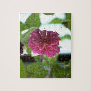 Pretty Dahlia Flower Jigsaw Puzzle