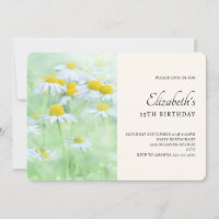 Pretty Daisies in a Field Birthday