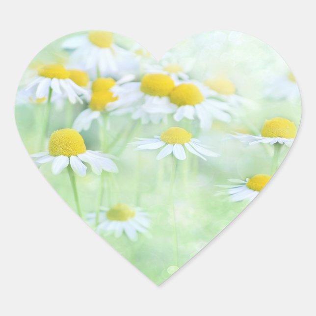 Pretty Daisies in a Field Heart Sticker (Front)