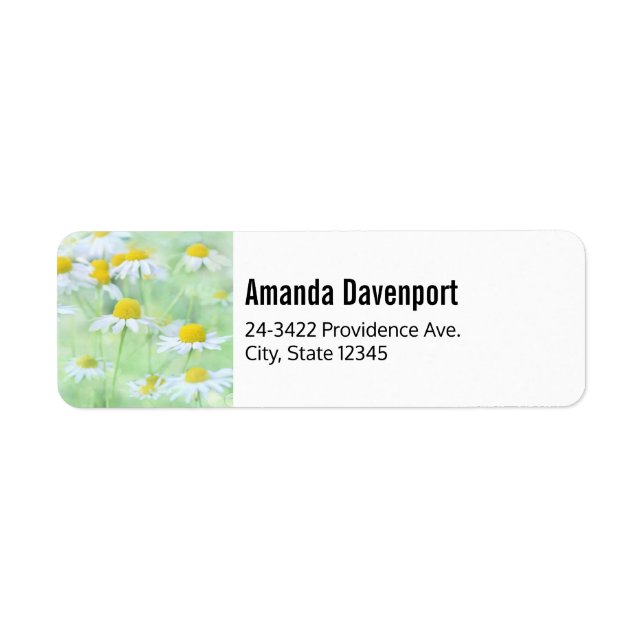 Pretty Daisies in a Field Photograph (Front)