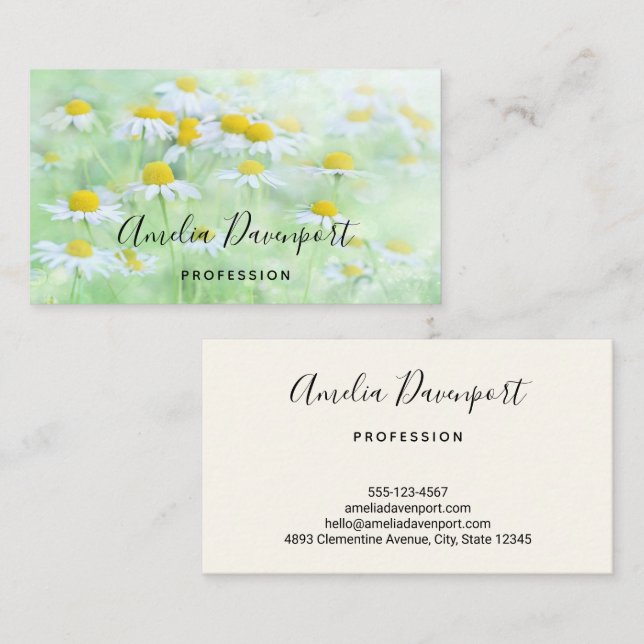 Pretty Daisies in a Field Photograph Business Card (Front/Back)