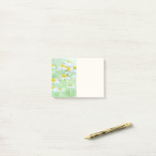 Pretty Daisies in a Field Photograph Post-it Notes