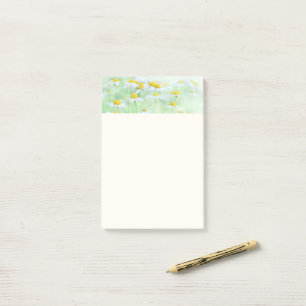 Pretty Daisies in a Field Photograph Post-it Notes