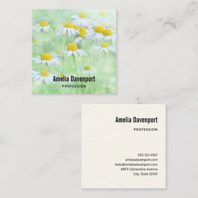 Pretty Daisies in a Field Photograph Square Business Card (Front/Back)