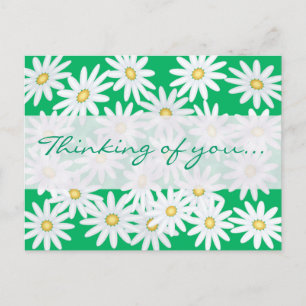 Pretty Daisies Postcard