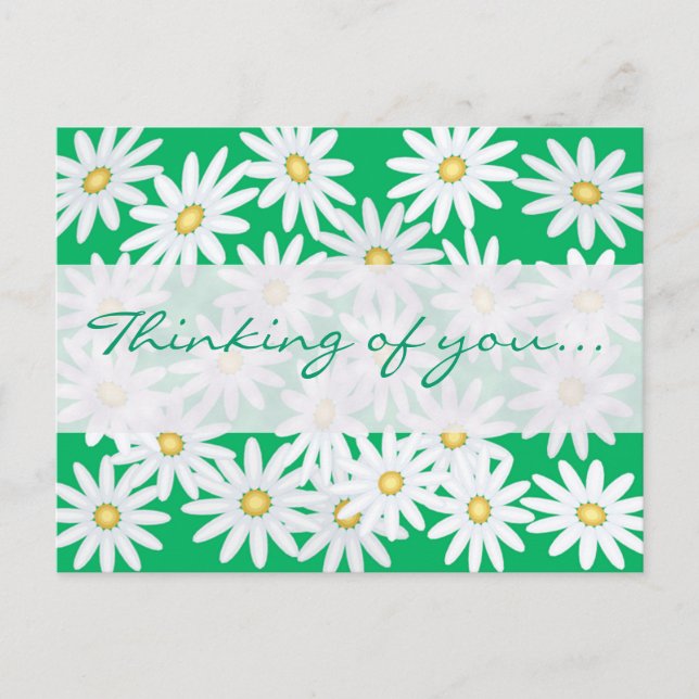 Pretty Daisies Postcard (Front)