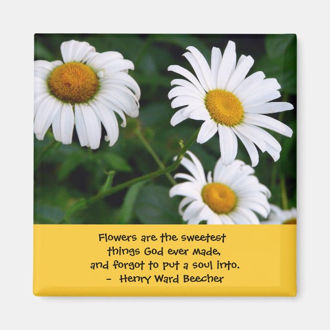 Pretty Daisies-with Quote Magnet (Front)