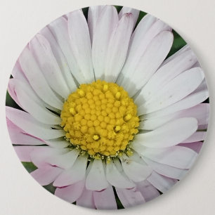 Pretty daisy 6 cm round badge