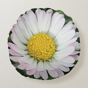 Pretty daisy baby round cushion