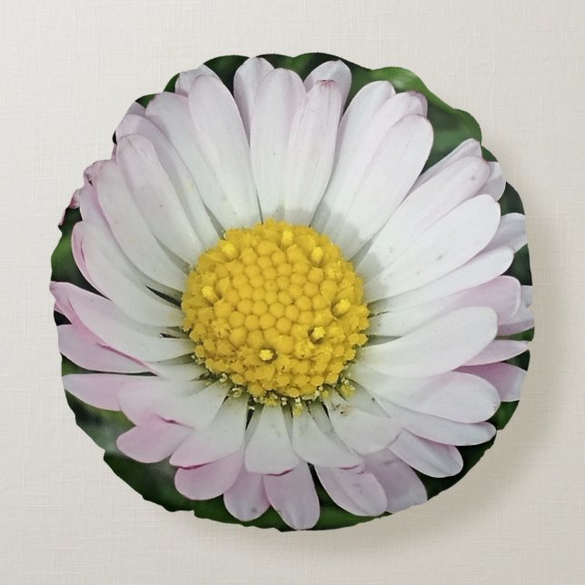 Pretty daisy baby round cushion (Front)
