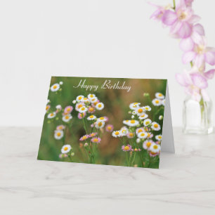 Pretty Daisy Birthday Card
