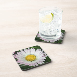 Pretty daisy coaster