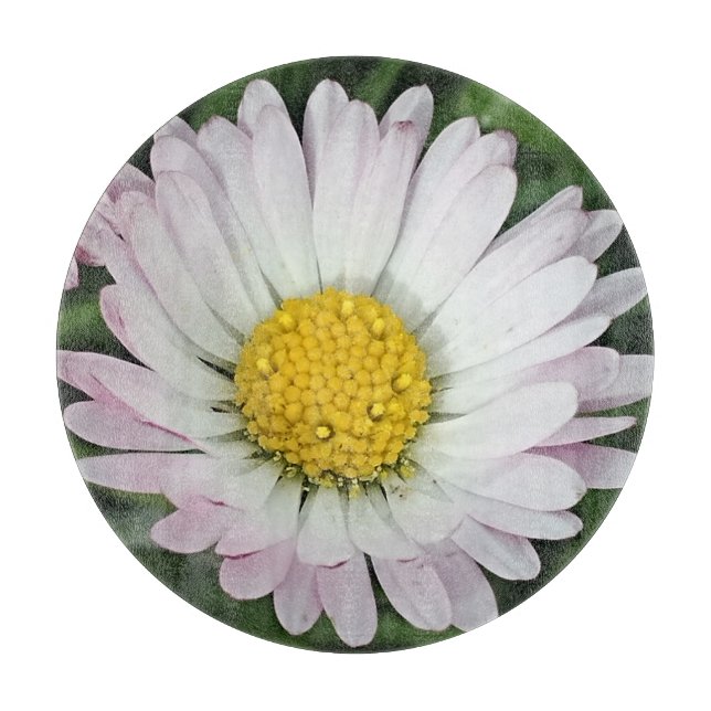 Pretty daisy cutting board (Front)