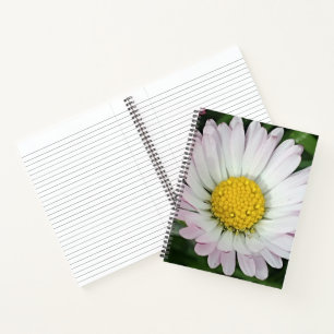 Pretty daisy notebook
