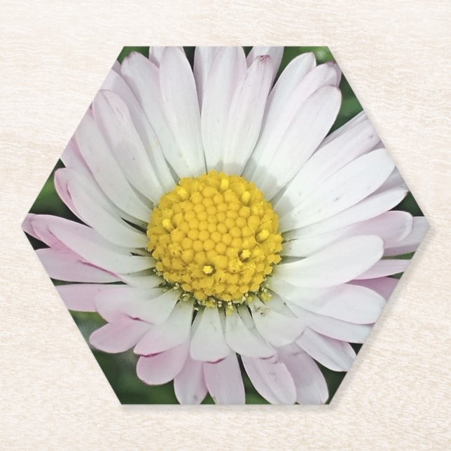 Pretty daisy paper coaster (Front)