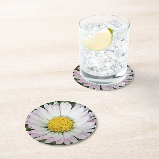 Pretty daisy round paper coaster (Insitu)