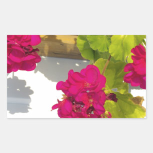 Pretty dark Pink floral flower Geranium Rectangular Sticker