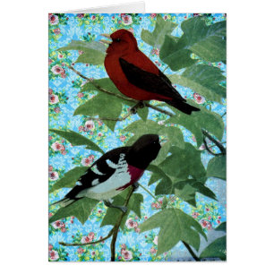 Pretty Day Birds
