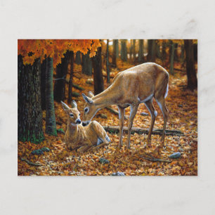 Pretty Deer and Fawn Autumn Leaves Postcard