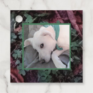 Pretty Dog Wearing Green Scarf Shamrocks Clovers Favour Tags