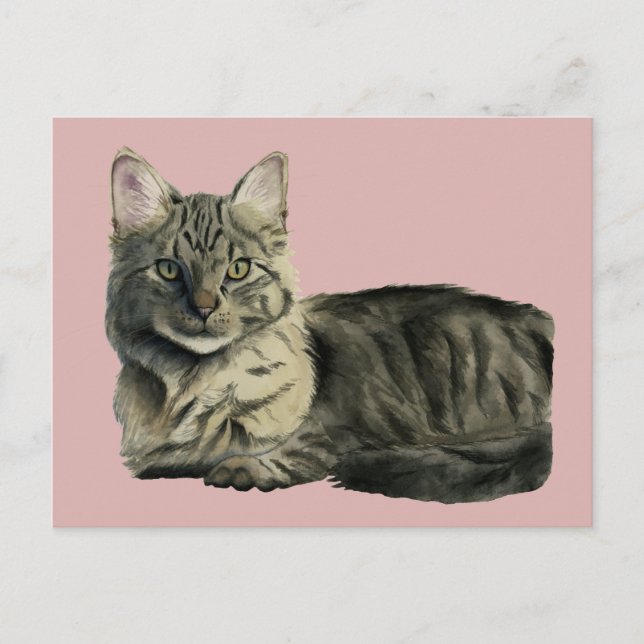 Pretty Domestic Medium Hair Kitty Cat Watercolor Postcard (Front)