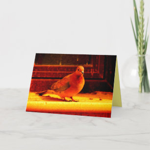 Pretty Dove Card