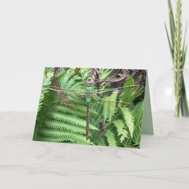 Pretty Dragonfly in Garden Photo Greeting Card (Front)