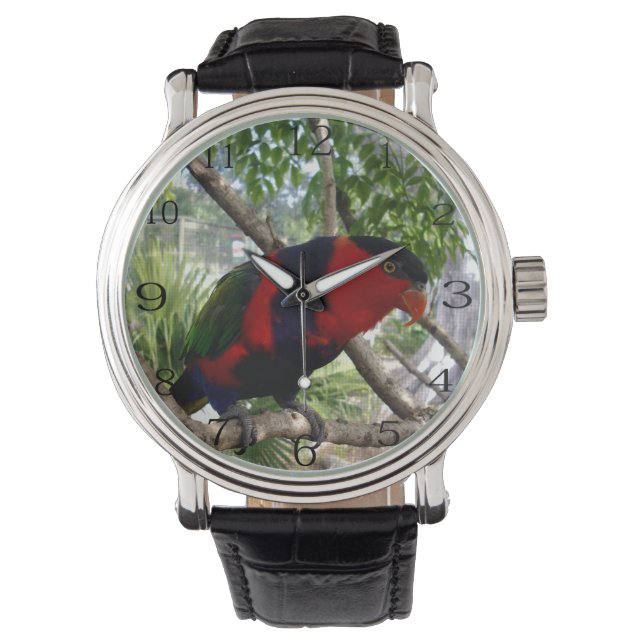 Pretty Face Rainbow Lorikeet, Watch (Front)