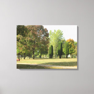Pretty Fall Leaves Photograph from Wisconsin Art Canvas Print