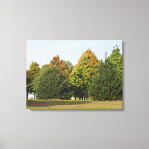 Pretty Fall Leaves Photograph from Wisconsin Art Canvas Print