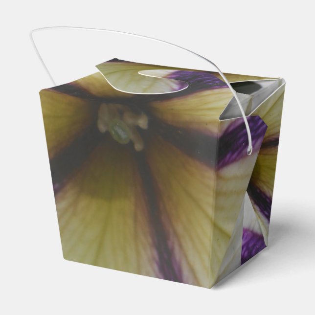 Pretty Favour Box (Back Side)