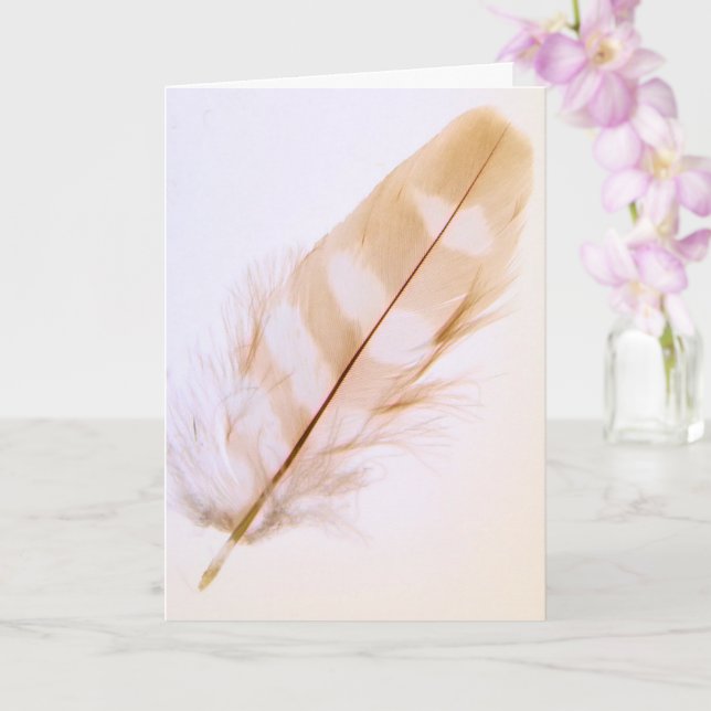 Pretty Feather Nature Get Well Card (Orchid)