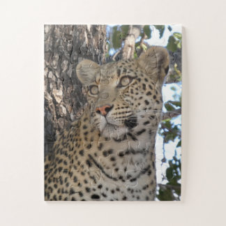PRETTY FEMALE LEOPARD CLOSE-UP JIGSAW PUZZLE