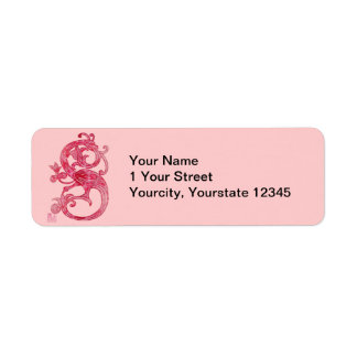 Pretty Feminine Mediaeval Pink Fantasy Dragon