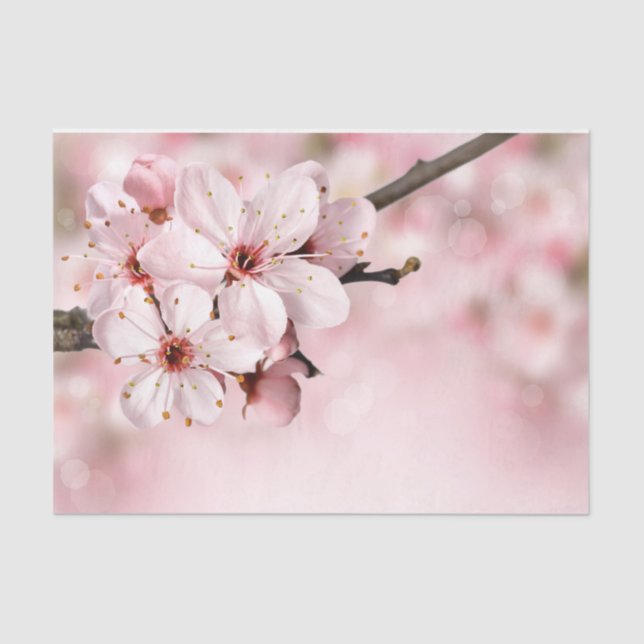 Pretty Feminine Pink Cherry Floral Spring Sakura Tissue Paper (Front)