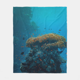 Pretty Fishes And Reefs Fleece Blanket