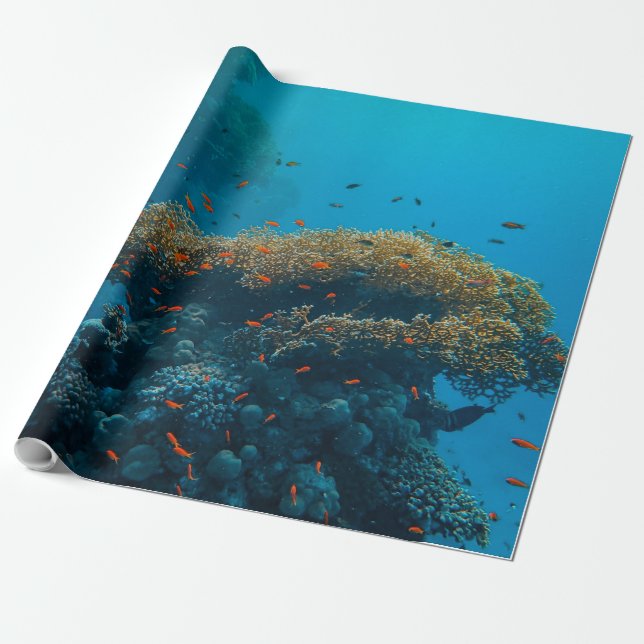 Pretty Fishes And Reefs Wrapping Paper (Unrolled)