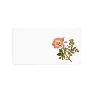 Pretty Floral Label - Pink Vintage Rose