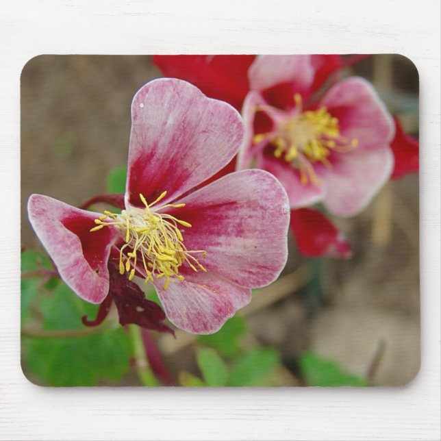 Pretty Flower Mouse Mat (Front)