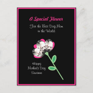 Pretty Flower of Cute Puppy Dog Best Mum Hot Pink  Postcard
