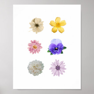 Pretty flower poster