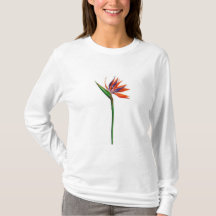 Pretty flower 