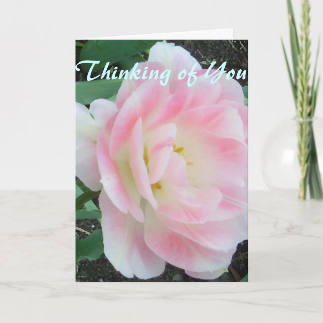 Pretty Flower White Pink Get Well Soon Card (Front)