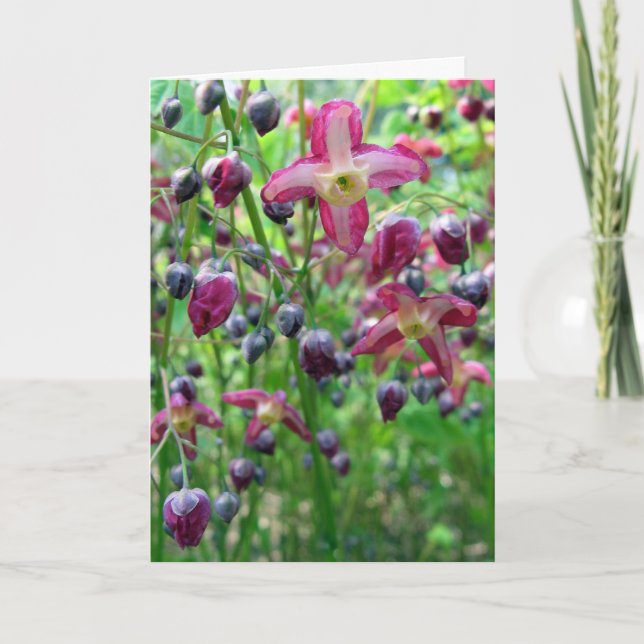 Pretty Flowers and Buds Spring Photo Mother's Day Card (Front)
