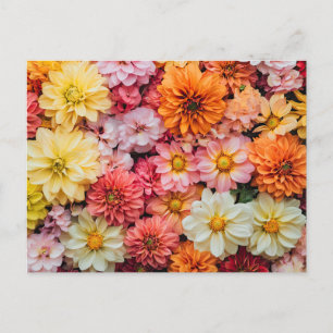 Pretty Flowers Colorful Floral Pattern Beautiful Postcard