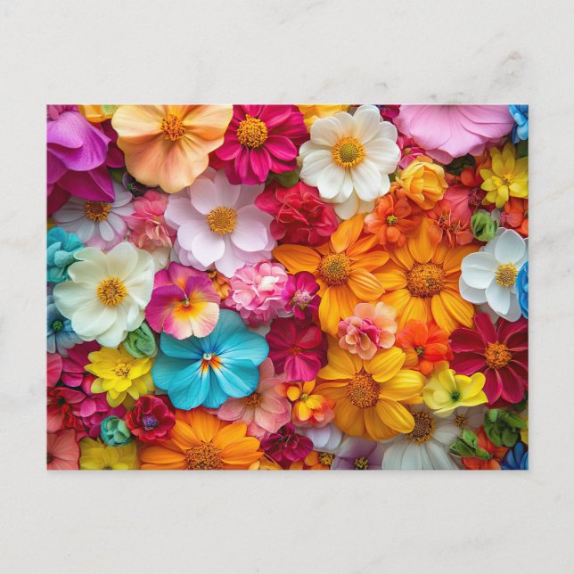 Pretty Flowers Colourful Floral Pattern Beautiful Postcard (Front)