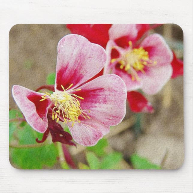 Pretty Flowers Columbine  Mouse Mat (Front)