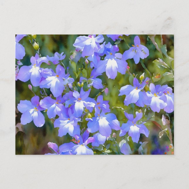 Pretty Forget Me Not Blue Flowers Postcard (Front)
